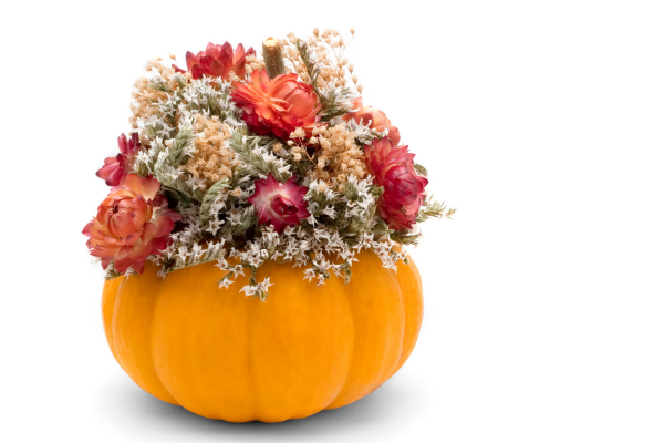 flowers in a pumpkin vase