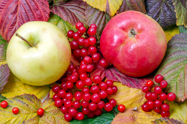 apples and cranberries with leaves